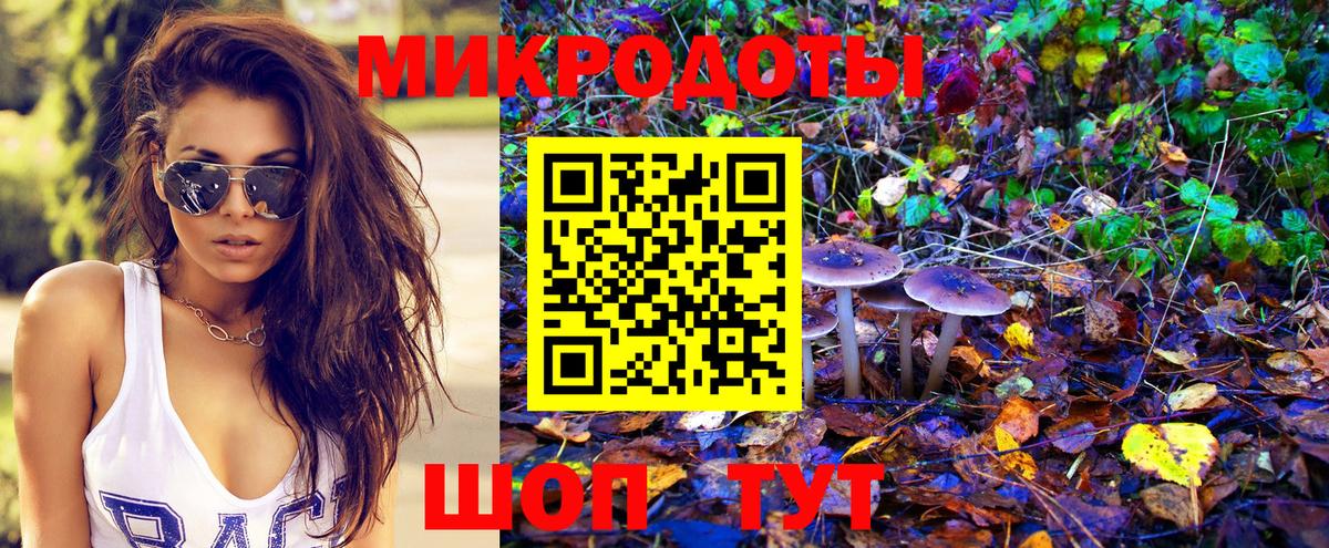 Псилоцибиновые грибы GOLDEN TEACHER Чебоксары